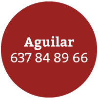 Inicio aguilar