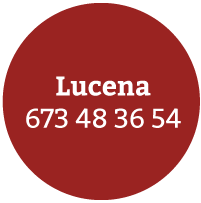 Inicio lucena-1